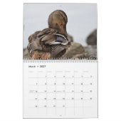 Stockentenenten Kalender (Mär 2027)