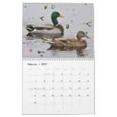 Stockentenenten Kalender (Feb 2027)