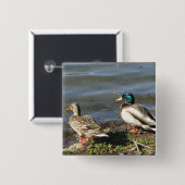 Stockentenenten-Paarknopf Button (Vorne & Hinten)