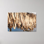 Stockfish Lofoten Leinwanddruck (Vorderseite)