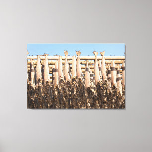 Stockfish Lofoten Leinwanddruck