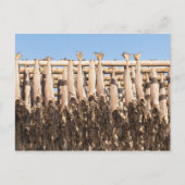 Stockfish Lofoten Postkarte (Vorderseite)