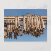 Stockfish Lofoten Postkarte (Vorderseite)