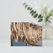 Stockfish Lofoten Postkarte (Stehend Vorderseite)