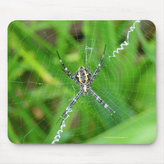 Stockspinne - großes Insel mousepad (Vorne)
