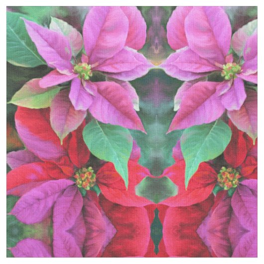 Stoffe - rosa/rote Poinsettien (Nahaufnahme)