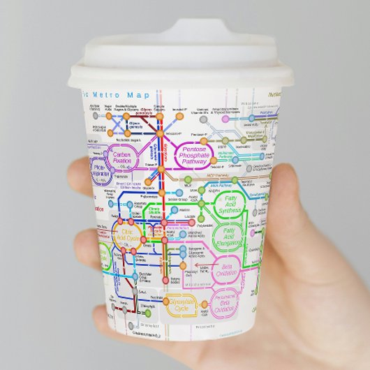 Stoffwechselweg Pappbecher