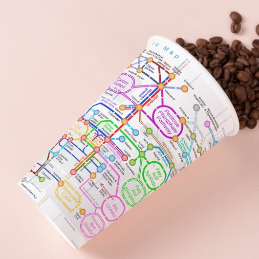 Stoffwechselweg Pappbecher