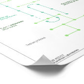 Stoffwechselweg zur Synthese von Antibiotika Poster (Ecke)