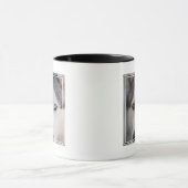Stoiber Blick auf Alaskan Malamute Tasse (Zentrum)
