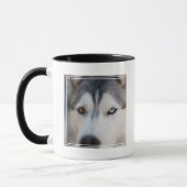 Stoiber Blick auf Alaskan Malamute Tasse (Links)