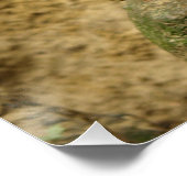 Stokstaartjes, meercat poster (Ecke)