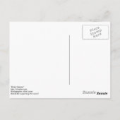 Stolen Season Postcard Postkarte (Rückseite)