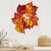 Stolk's Carpente Poster (Küche)