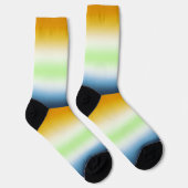 Stolperflagge des Gradient AroAce Agender Socken (Rechts)