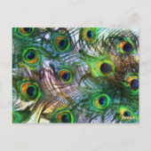 Stolz als Peacock Tischnummer Set 1116 (Rückseite)