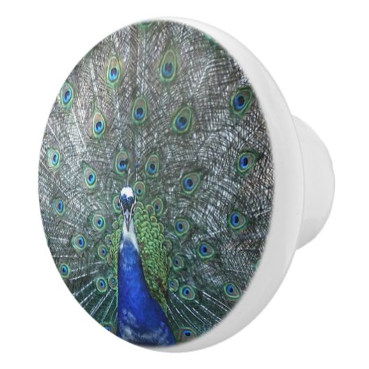 Stolz als Pfau Keramikknauf (Rechts)