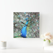 Stolz als Pfau Quadratische Wanduhr (Zuhause)