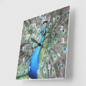 Stolz als Pfau Quadratische Wanduhr (Winkel)