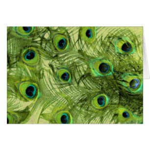 Stolz als Pfau-Set 1115