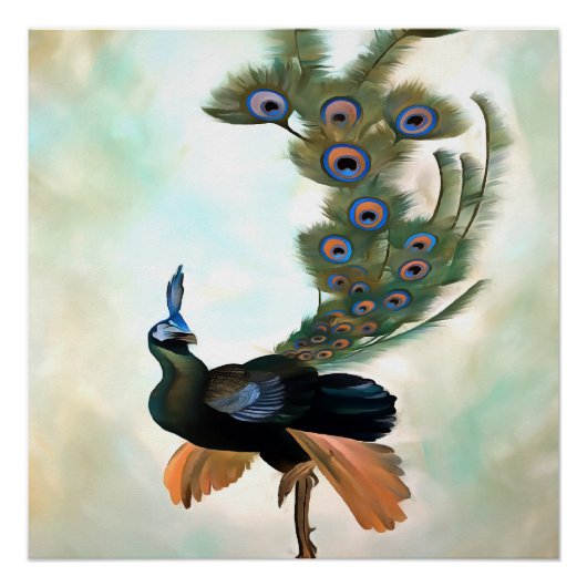 Stolz als Pfauenfarbenprägung Poster (Vorderseite)