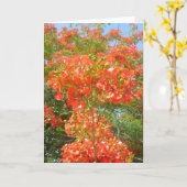 Stolz auf Barbados Karte (Gelbe Blume)