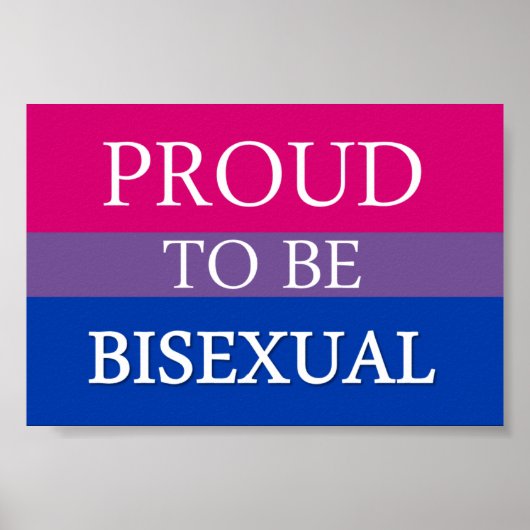 Stolz auf Bisexuelles Poster (Vorne)