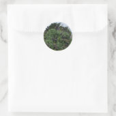 Stolz auf Madeira #1 Stickers (Tasche)