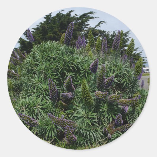 Stolz auf Madeira #1 Stickers (Vorderseite)