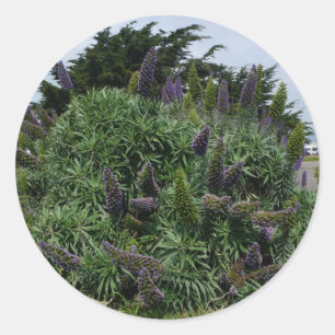 Stolz auf Madeira #1 Stickers