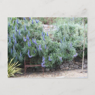 Stolz auf Madeira Postkarte