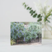 Stolz auf Madeira Postkarte (Stehend Vorderseite)