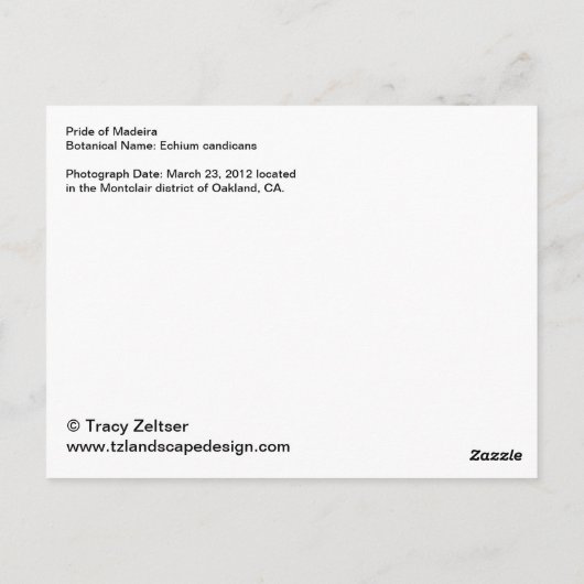 Stolz auf Madeira Postkarte (Rückseite)