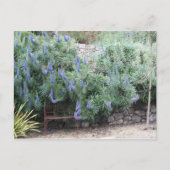 Stolz auf Madeira Postkarte (Vorderseite)