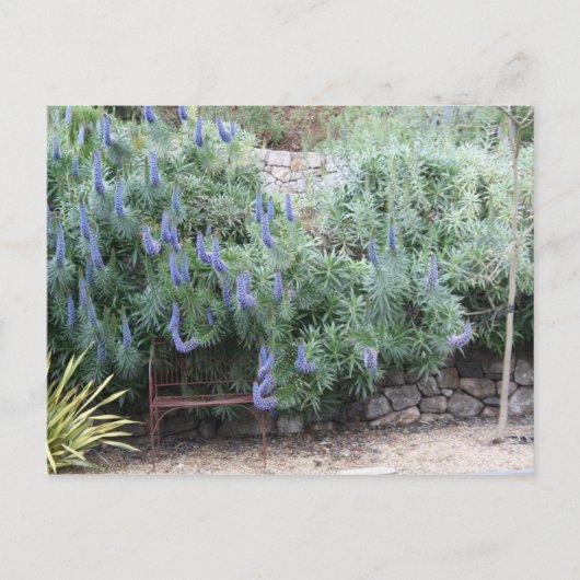 Stolz auf Madeira Postkarte (Vorderseite)