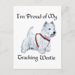 Stolz auf meinen Westie beim Tracking Postkarte
