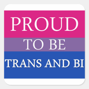 Stolz auf Trans und Bi Quadratischer Aufkleber