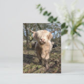 Stolz darauf, schottisch zu sein postkarte (Stehend Vorderseite)