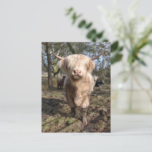 Stolz darauf, schottisch zu sein postkarte (Stehend Vorderseite)