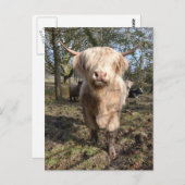 Stolz darauf, schottisch zu sein postkarte (Vorne/Hinten)