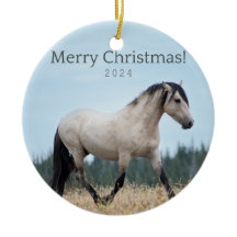 Stolz der Cloud: Pryor Wild Mustang Ornament