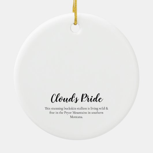 Stolz der Cloud: Pryor Wild Mustang Ornament (Hinten)