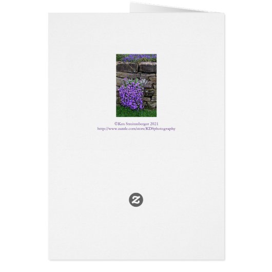 STOLZ DER MAMA/FLÜSSE ÜBER STEIN W (Hinten)