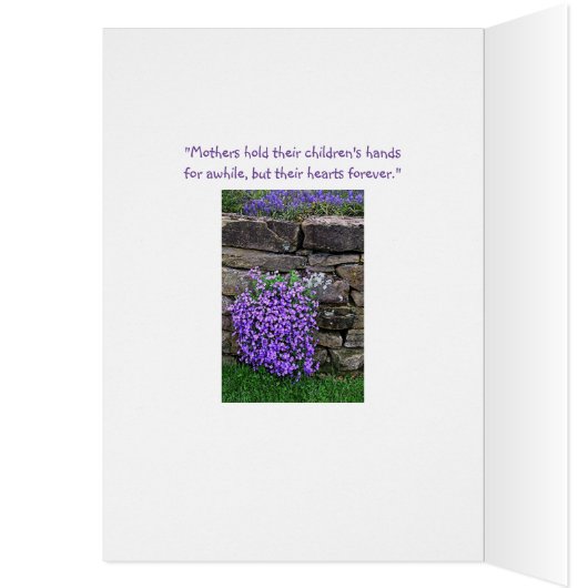 STOLZ DER MAMA/FLÜSSE ÜBER STEIN W (Innen (Links))