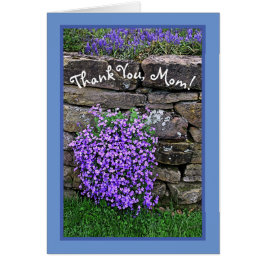 STOLZ DER MAMA/FLÜSSE ÜBER STEIN W