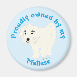 Stolz im Besitz eines Maltesers Magnet