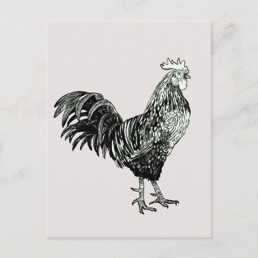 Stolz kleiner Hahn! Postkarte (Vorderseite)