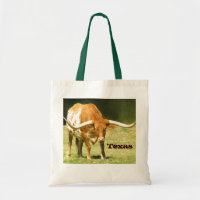 Stolz Longhorns Texas