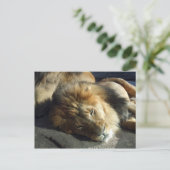 Stolz Postkarte (Stehend Vorderseite)