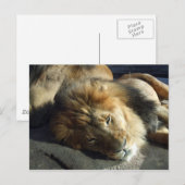 Stolz Postkarte (Vorne/Hinten)